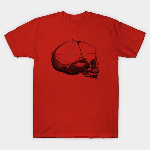 Human Skull - Side View - Vintage Anatomy T-Shirt by Vintage Anatomy Prints